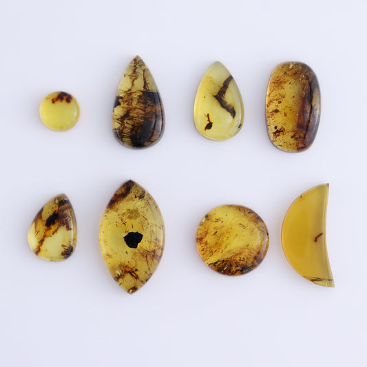 Chiapas Mexico Amber Cabs Set of 8 - Expert Wholesale and Supplier of Wholesale Crystals & Bulk Gemstones, ["Amber","Cabs","Chiapas Amber","Mexico"]