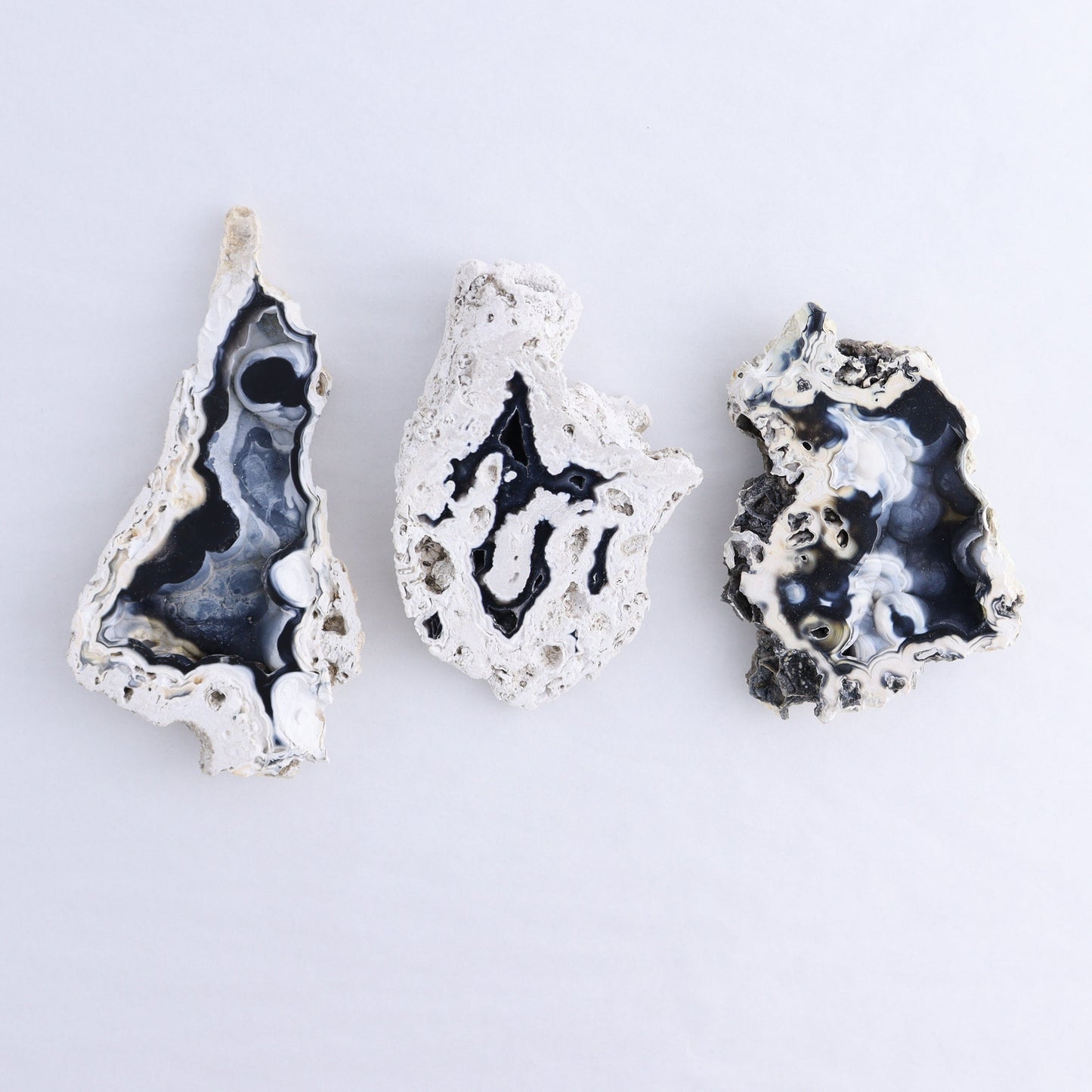 Agatized Coral Flat - Expert Wholesale and Supplier of Wholesale Crystals & Bulk Gemstones, ["Agate","Agatized Coral","Coral","United States"]