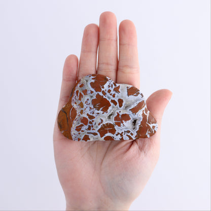 Brecciated Jasper Clouds Set of 11