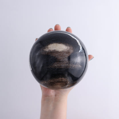 Petrified Wood Spheres Set of 3 - Expert Wholesale and Supplier of Wholesale Crystals & Bulk Gemstones, ["Indonesia","Petrified Wood","Spheres"]