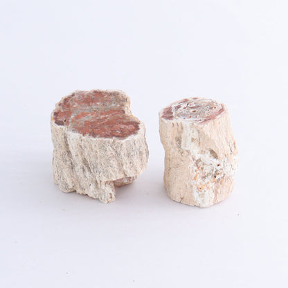Petrified Wood Cut Bases Set of 10 - Expert Wholesale and Supplier of Wholesale Crystals & Bulk Gemstones, ["Cut Base","Petrified Wood"]
