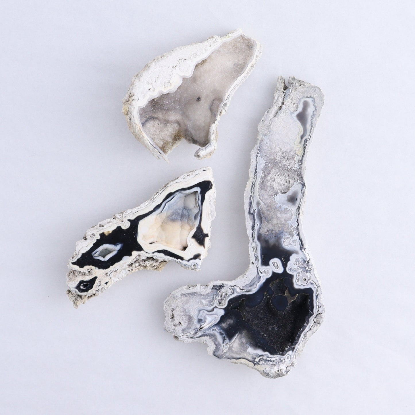 Agatized Coral Flat - Expert Wholesale and Supplier of Wholesale Crystals & Bulk Gemstones, ["Agate","Agatized Coral","Coral","United States"]