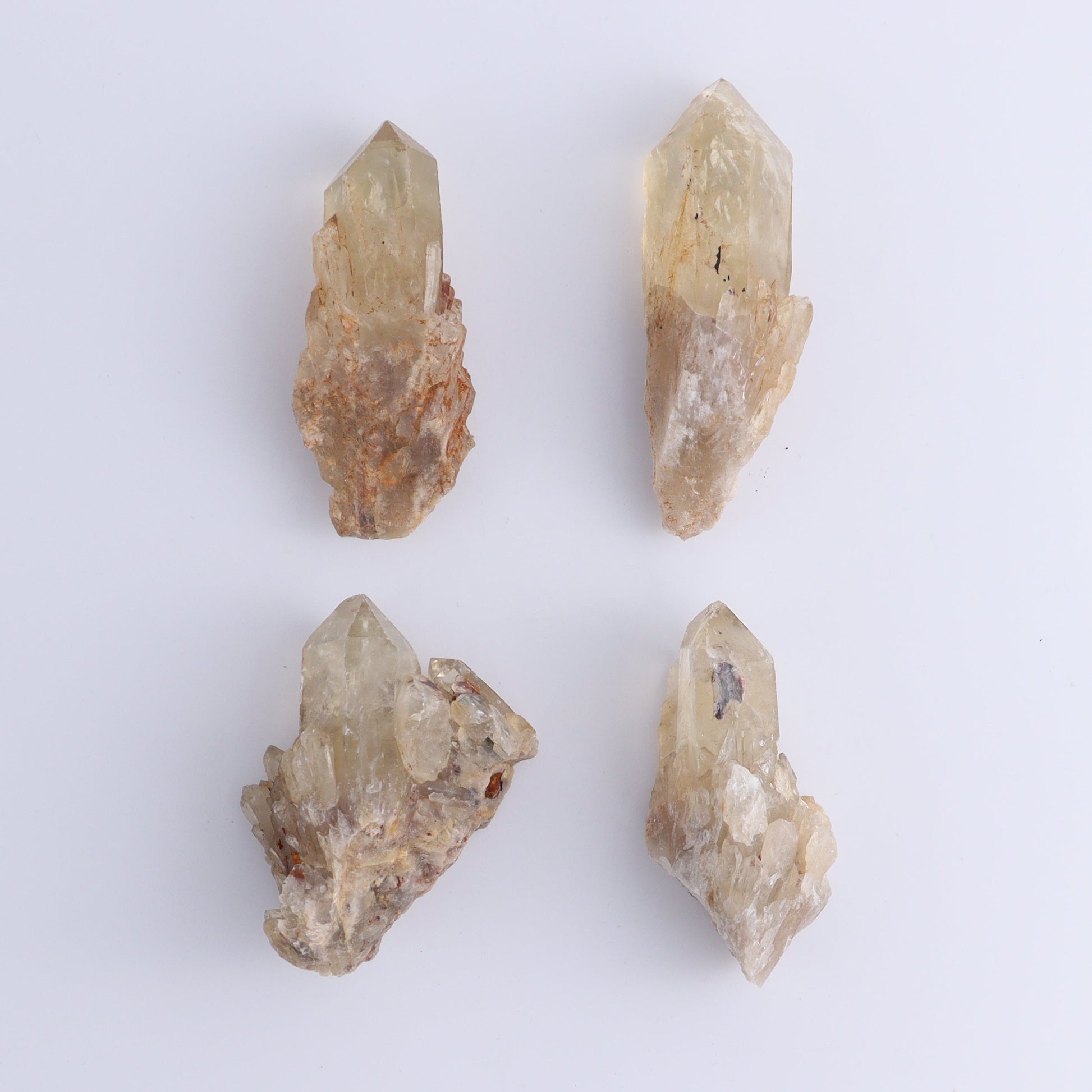Congo Citrine Set of 12 - Expert Wholesale and Supplier of Wholesale Crystals & Bulk Gemstones, ["Citrine","Congo","Rough","Roughs"]