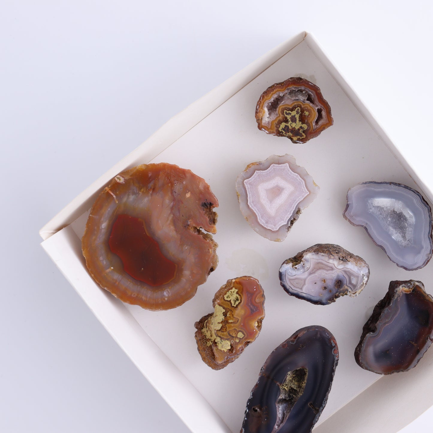 Coyamito Agate Geodes from Mexico Set of 8