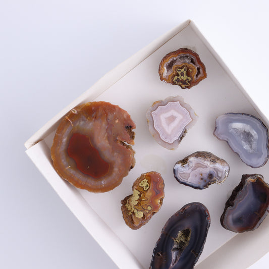 Coyamito Agate Geodes from Mexico Set of 8