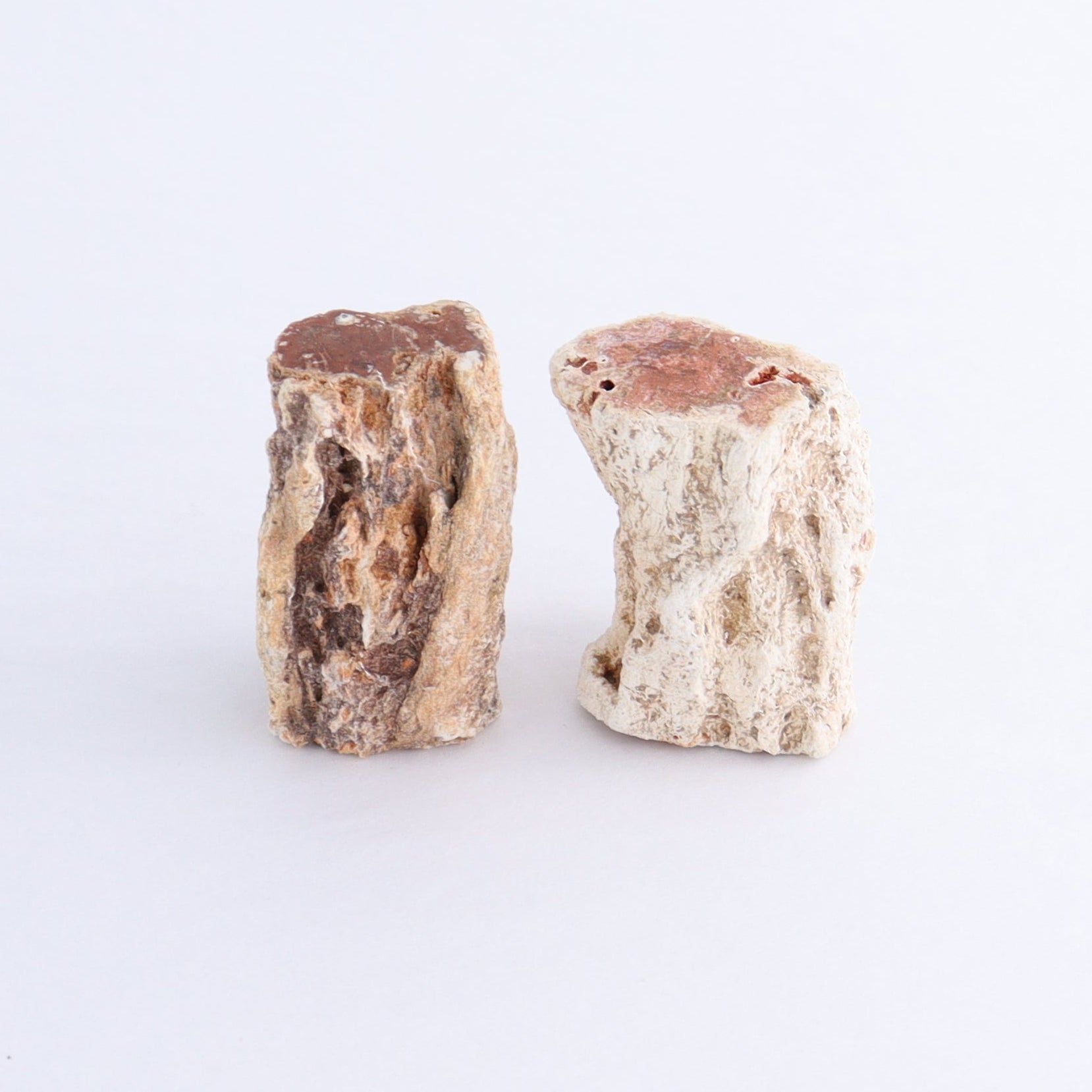 Petrified Wood Cut Bases Set of 10 - Expert Wholesale and Supplier of Wholesale Crystals & Bulk Gemstones, ["Cut Base","Petrified Wood"]