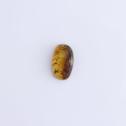 Chiapas Mexico Amber Cabs Set of 8 - Expert Wholesale and Supplier of Wholesale Crystals & Bulk Gemstones, ["Amber","Cabs","Chiapas Amber","Mexico"]