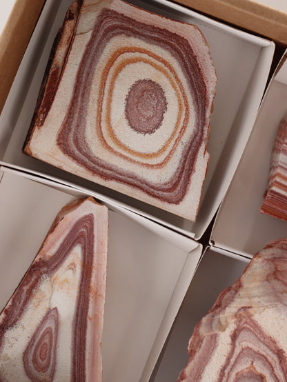 Ryholite Slices and Slabs Set of 6 - Expert Supplier of Wholesale Crystals & Bulk Gemstones