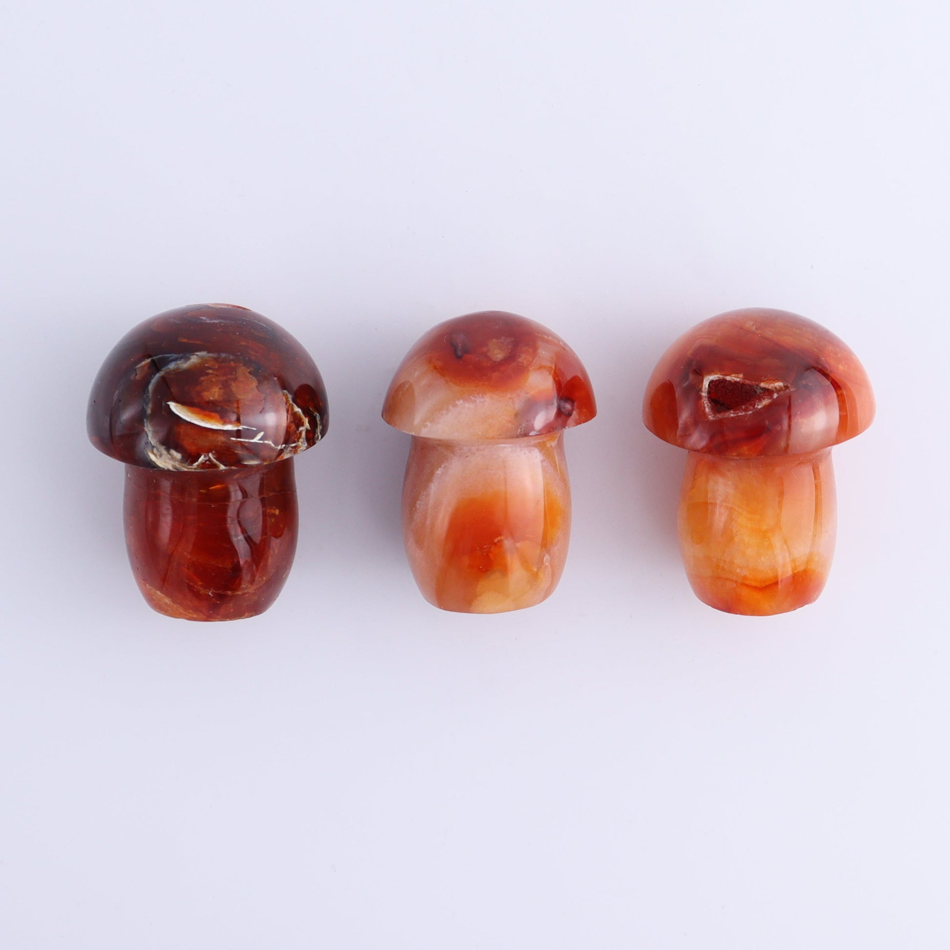 Carnelian Mushrooms Set of 9 - Expert Wholesale and Supplier of Wholesale Crystals & Bulk Gemstones, ["carnelian","Madagascar","Mushrooms"]