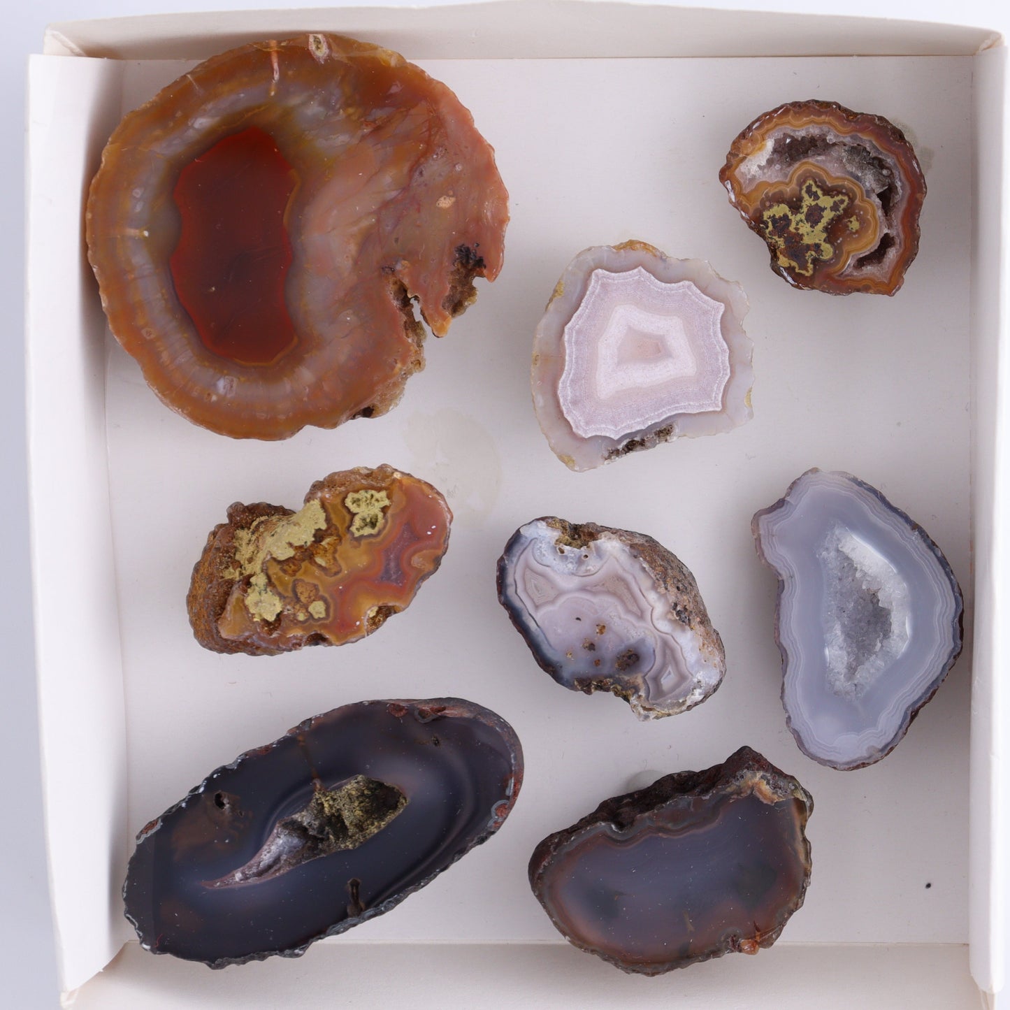 Coyamito Agate Geodes from Mexico Set of 8