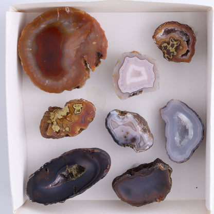 Coyamito Agate Geodes from Mexico Set of 8