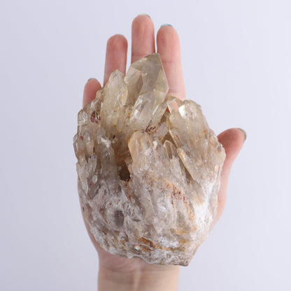 Congo Citrine Set of 6 - Expert Wholesale and Supplier of Wholesale Crystals & Bulk Gemstones, ["Citrine","Congo","Rough","Roughs"]