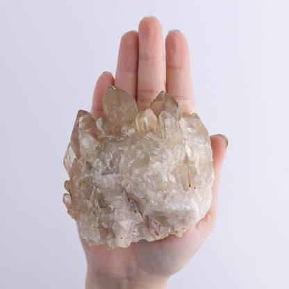 Congo Citrine Set of 6 - Expert Wholesale and Supplier of Wholesale Crystals & Bulk Gemstones, ["Citrine","Congo","Rough","Roughs"]