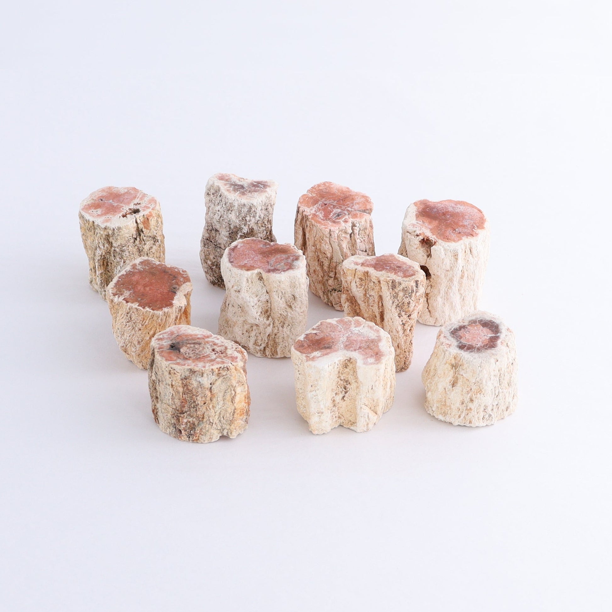 Petrified Wood Cut Bases Set of 10 - Expert Wholesale and Supplier of Wholesale Crystals & Bulk Gemstones, ["Cut Base","Petrified Wood"]