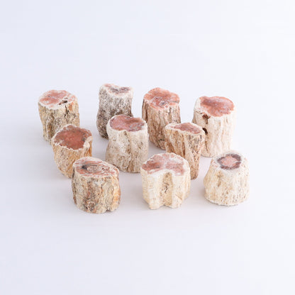 Petrified Wood Cut Bases Set of 10 - Expert Wholesale and Supplier of Wholesale Crystals & Bulk Gemstones, ["Cut Base","Petrified Wood"]
