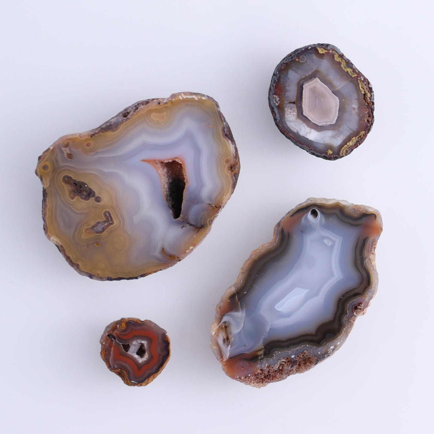Coyamito Agate Geodes from Mexico Set of 6