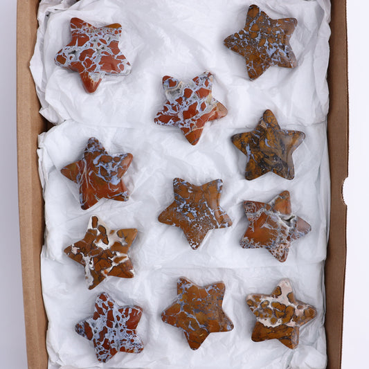 Brecciated Jasper Stars Set of 11 - Expert Wholesale and Supplier of Wholesale Crystals & Bulk Gemstones, ["Brecciated Jasper","Indonesia","stars"]