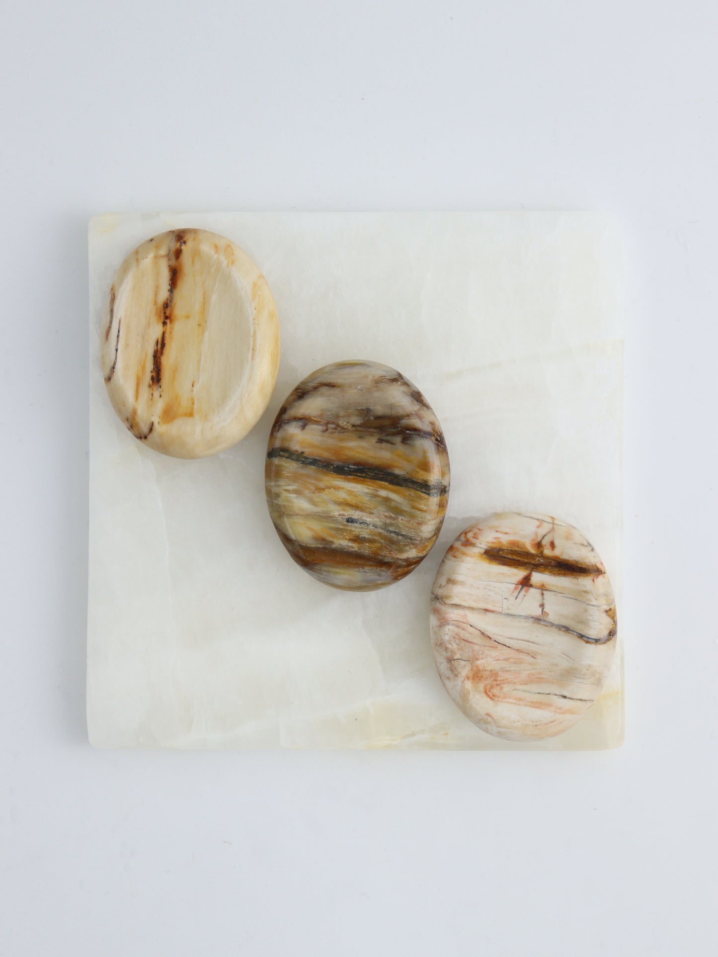 1/2kg Petrified Wood Worry Stones - Expert Supplier of Wholesale Crystals & Bulk Gemstones