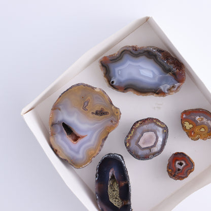 Coyamito Agate Geodes from Mexico Set of 6