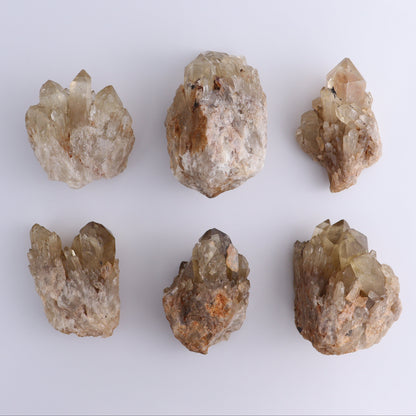 Congo Citrine Set of 6 - Expert Wholesale and Supplier of Wholesale Crystals & Bulk Gemstones, ["Citrine","Congo","Rough","Roughs"]