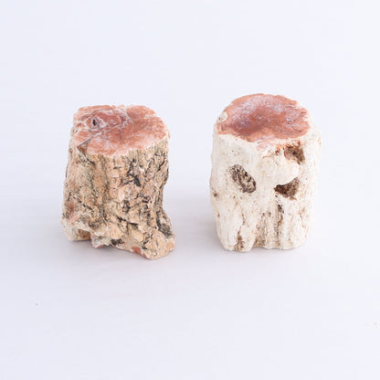 Petrified Wood Cut Bases Set of 10 - Expert Wholesale and Supplier of Wholesale Crystals & Bulk Gemstones, ["Cut Base","Petrified Wood"]