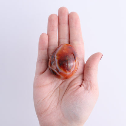 Carnelian Eggs Set of 12 - Expert Wholesale and Supplier of Wholesale Crystals & Bulk Gemstones, ["carnelian","Eggs","Madagascar"]