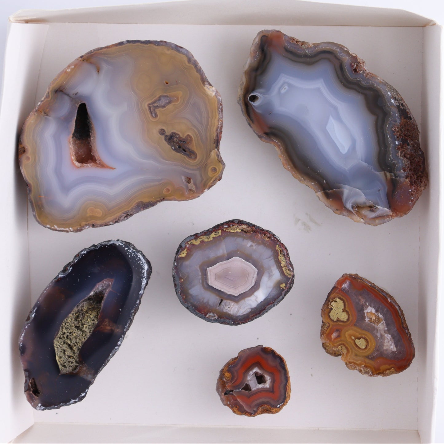Coyamito Agate Geodes from Mexico Set of 6