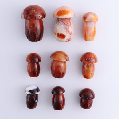 Carnelian Mushrooms Set of 9 - Expert Wholesale and Supplier of Wholesale Crystals & Bulk Gemstones, ["carnelian","Madagascar","Mushrooms"]