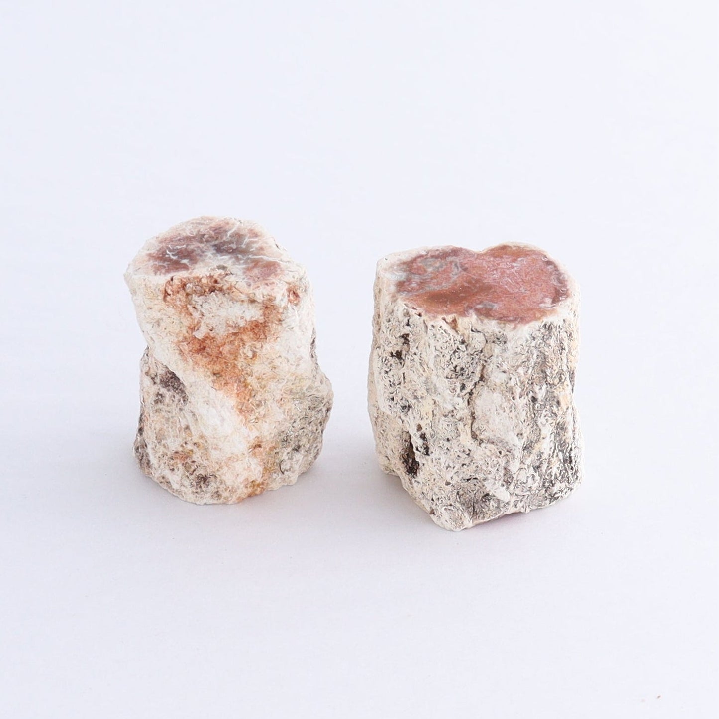 Petrified Wood Cut Bases Set of 10 - Expert Wholesale and Supplier of Wholesale Crystals & Bulk Gemstones, ["Cut Base","Petrified Wood"]
