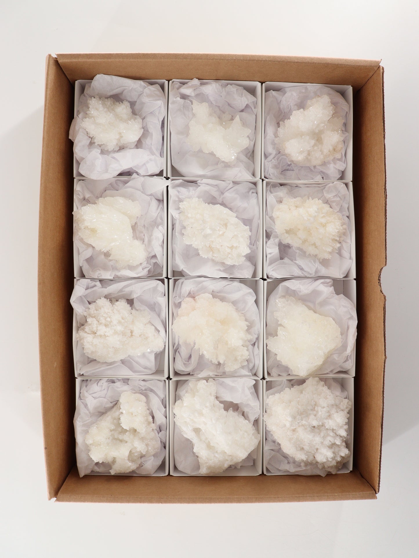 Aragonite Clusters Set of 12