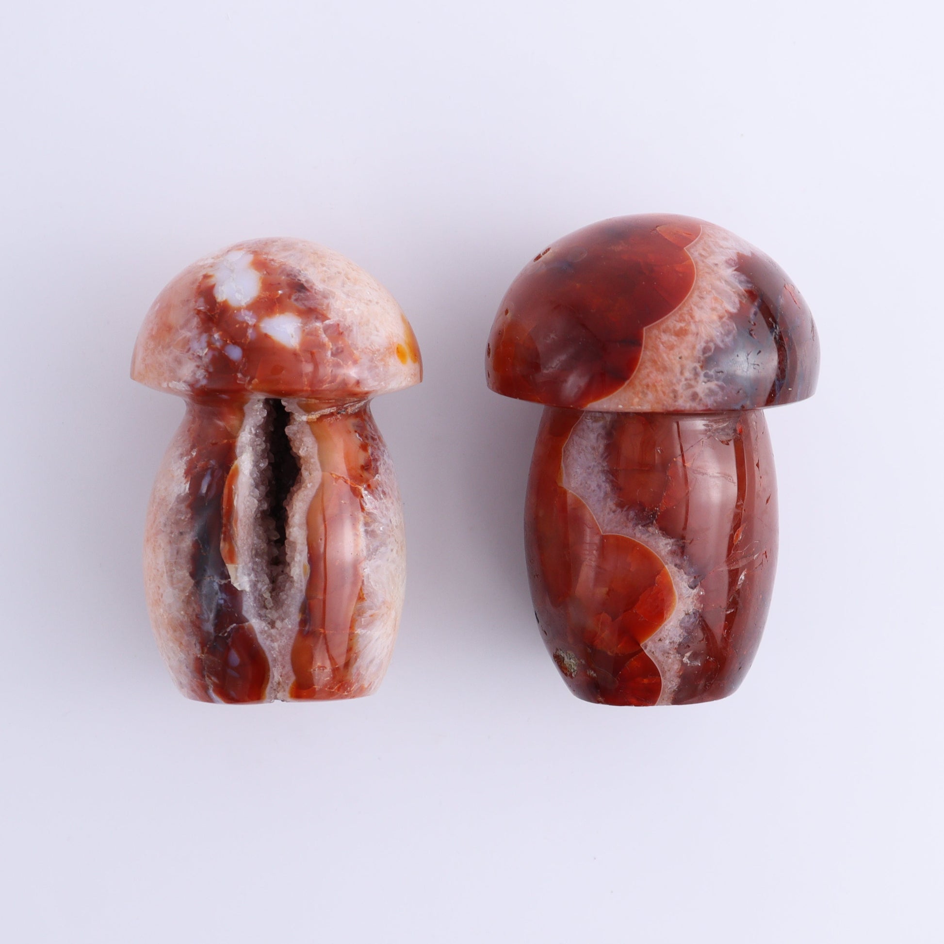 Carnelian Mushrooms Set of 9 - Expert Wholesale and Supplier of Wholesale Crystals & Bulk Gemstones, ["carnelian","Madagascar","Mushrooms"]