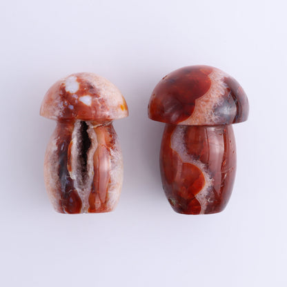 Carnelian Mushrooms Set of 9 - Expert Wholesale and Supplier of Wholesale Crystals & Bulk Gemstones, ["carnelian","Madagascar","Mushrooms"]