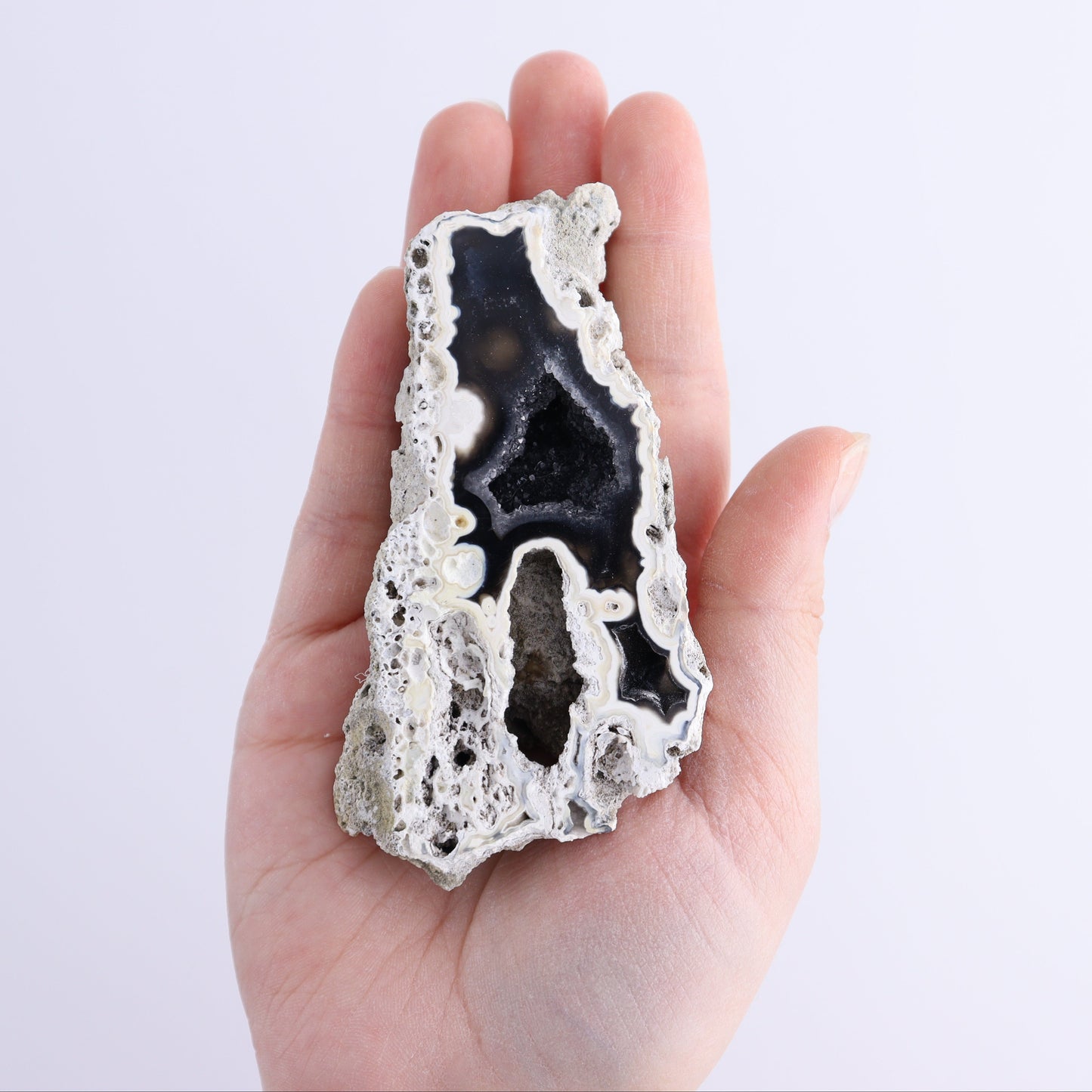 Agatized Coral Flat - Expert Wholesale and Supplier of Wholesale Crystals & Bulk Gemstones, ["Agate","Agatized Coral","Coral","United States"]