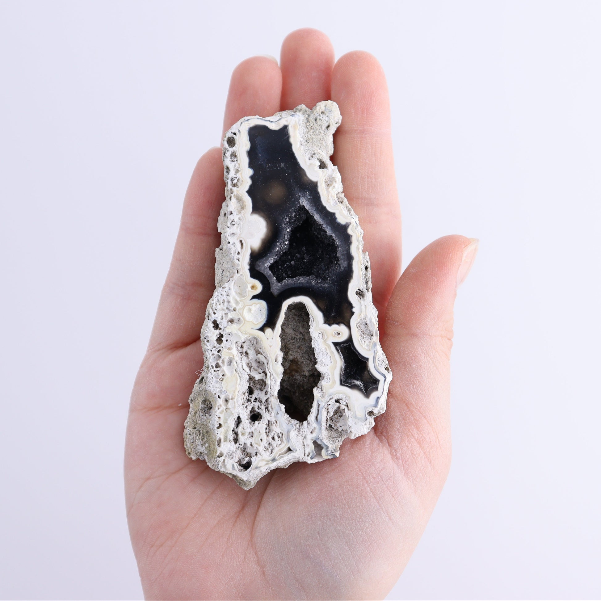 Agatized Coral Flat - Expert Wholesale and Supplier of Wholesale Crystals & Bulk Gemstones, ["Agate","Agatized Coral","Coral","United States"]