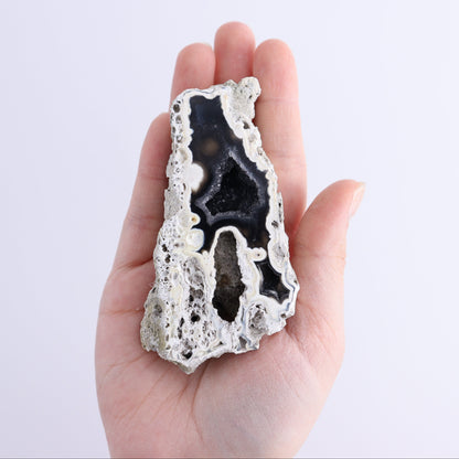 Agatized Coral Flat - Expert Wholesale and Supplier of Wholesale Crystals & Bulk Gemstones, ["Agate","Agatized Coral","Coral","United States"]