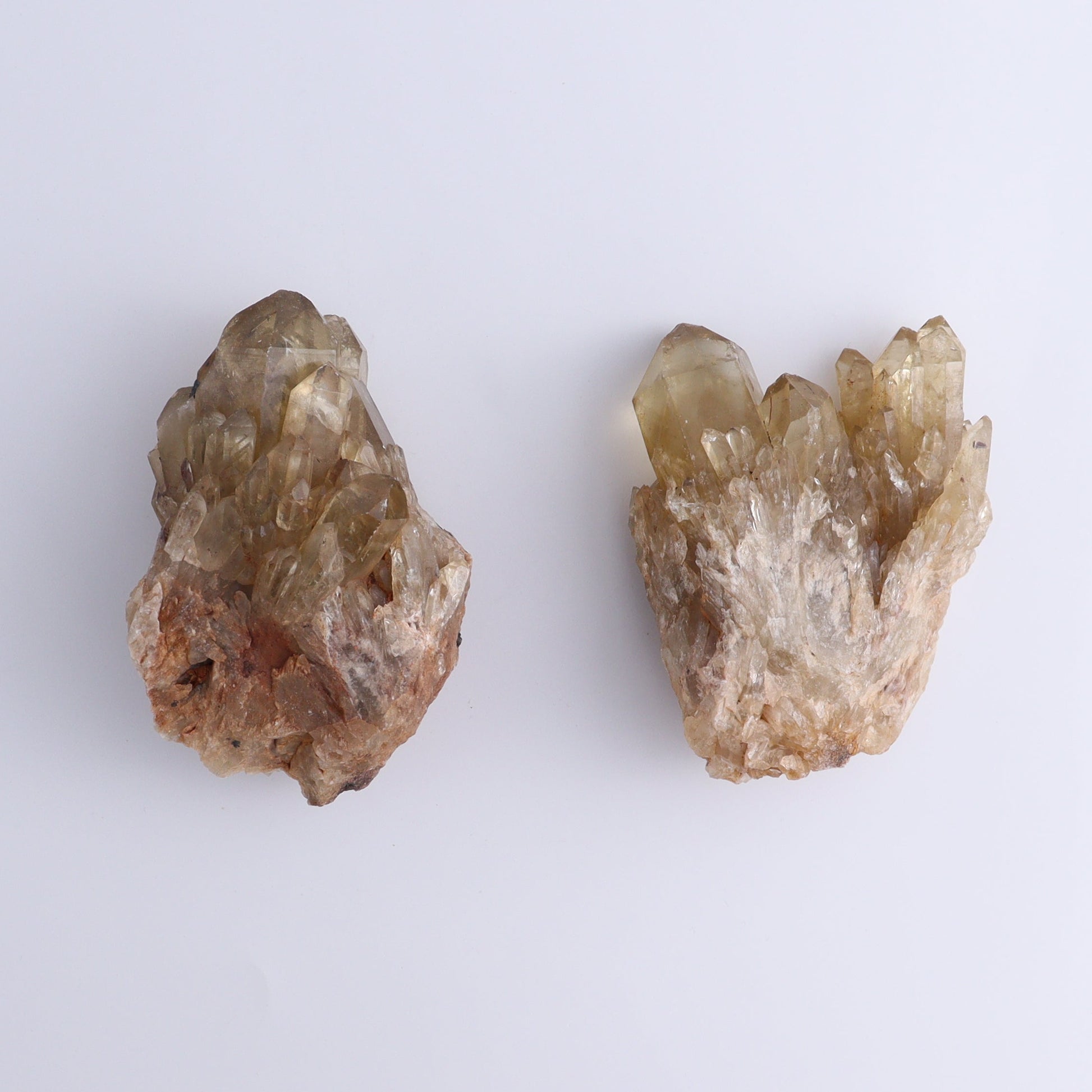 Congo Citrine Set of 6 - Expert Wholesale and Supplier of Wholesale Crystals & Bulk Gemstones, ["Citrine","Congo","Rough","Roughs"]