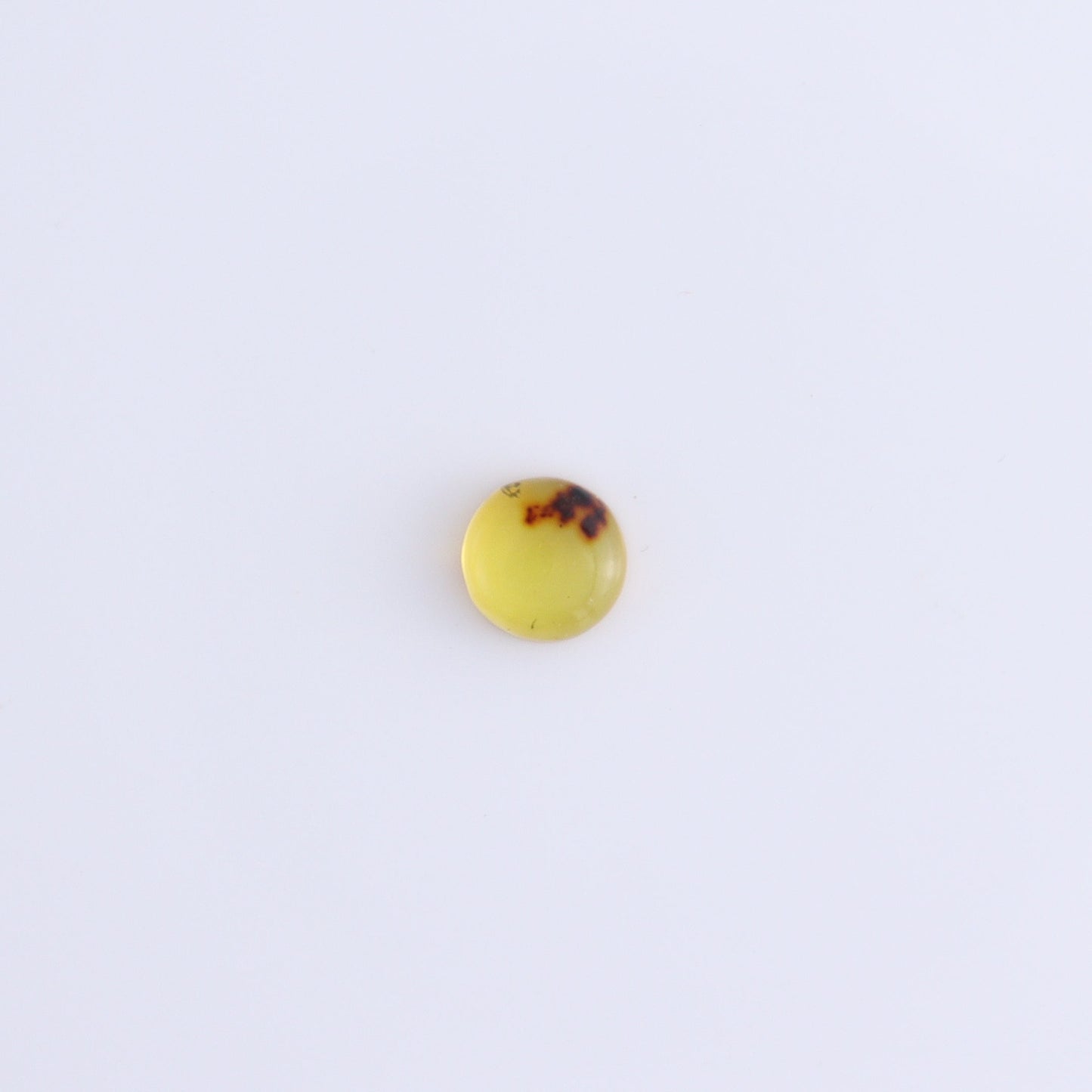 Chiapas Mexico Amber Cabs Set of 8 - Expert Wholesale and Supplier of Wholesale Crystals & Bulk Gemstones, ["Amber","Cabs","Chiapas Amber","Mexico"]