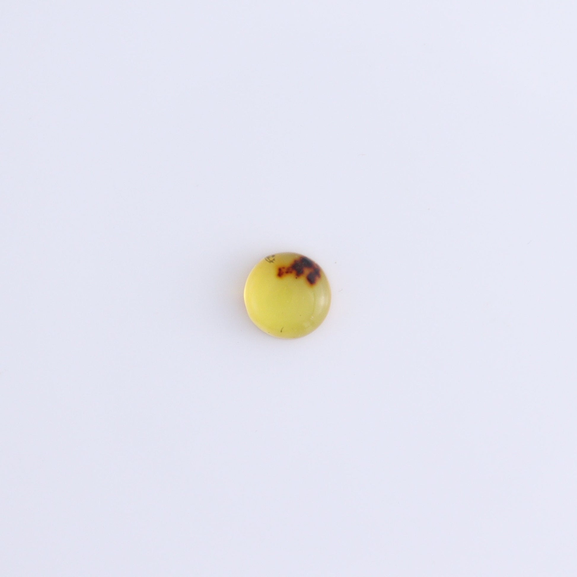 Chiapas Mexico Amber Cabs Set of 8 - Expert Wholesale and Supplier of Wholesale Crystals & Bulk Gemstones, ["Amber","Cabs","Chiapas Amber","Mexico"]