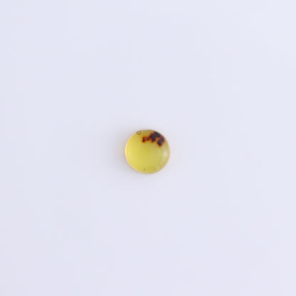 Chiapas Mexico Amber Cabs Set of 8 - Expert Wholesale and Supplier of Wholesale Crystals & Bulk Gemstones, ["Amber","Cabs","Chiapas Amber","Mexico"]