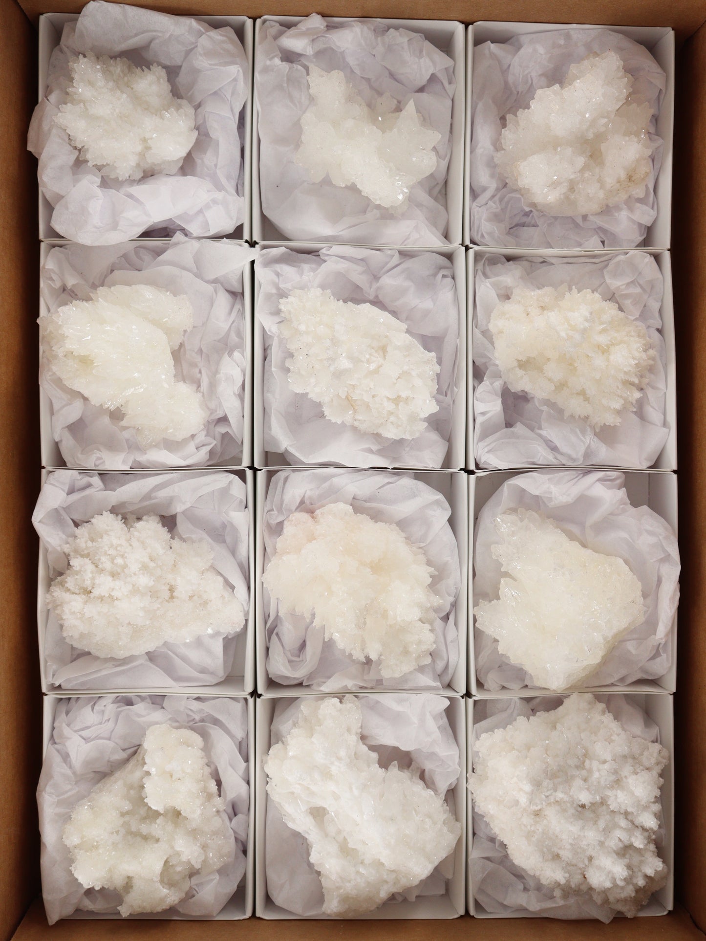 Aragonite Clusters Set of 12