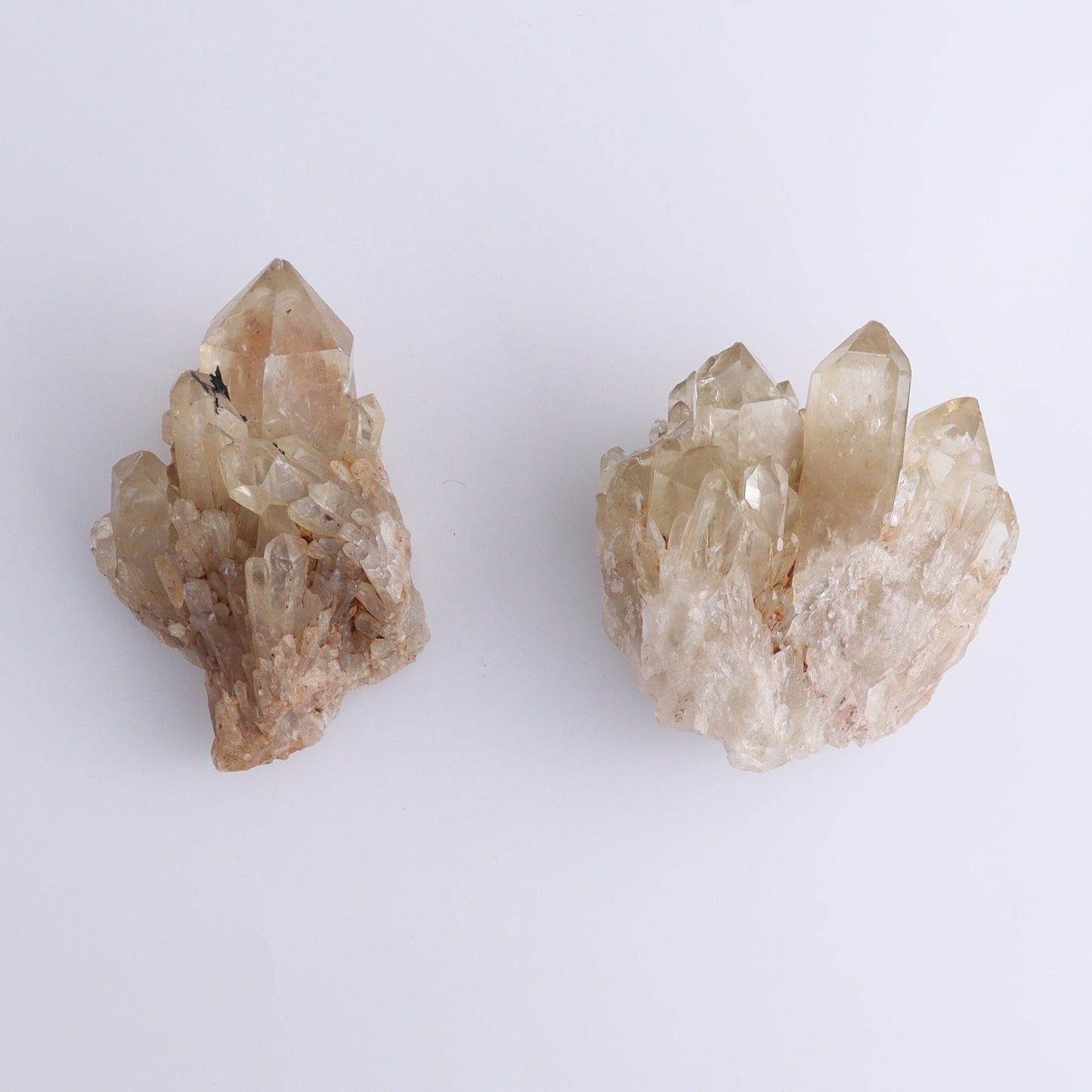 Congo Citrine Set of 6 - Expert Wholesale and Supplier of Wholesale Crystals & Bulk Gemstones, ["Citrine","Congo","Rough","Roughs"]