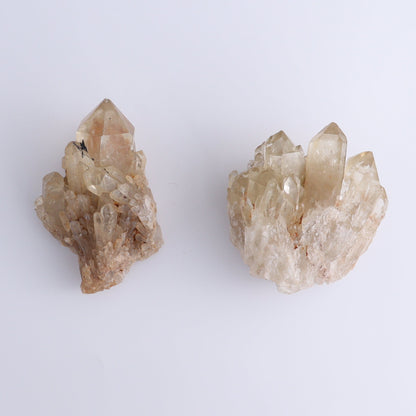 Congo Citrine Set of 6 - Expert Wholesale and Supplier of Wholesale Crystals & Bulk Gemstones, ["Citrine","Congo","Rough","Roughs"]