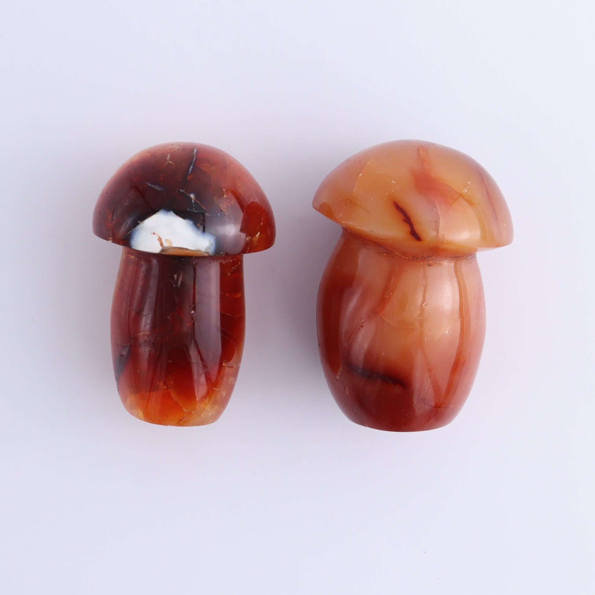 Carnelian Mushrooms Set of 9 - Expert Wholesale and Supplier of Wholesale Crystals & Bulk Gemstones, ["carnelian","Madagascar","Mushrooms"]