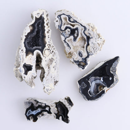 Agatized Coral Flat - Expert Wholesale and Supplier of Wholesale Crystals & Bulk Gemstones, ["Agate","Agatized Coral","Coral","United States"]