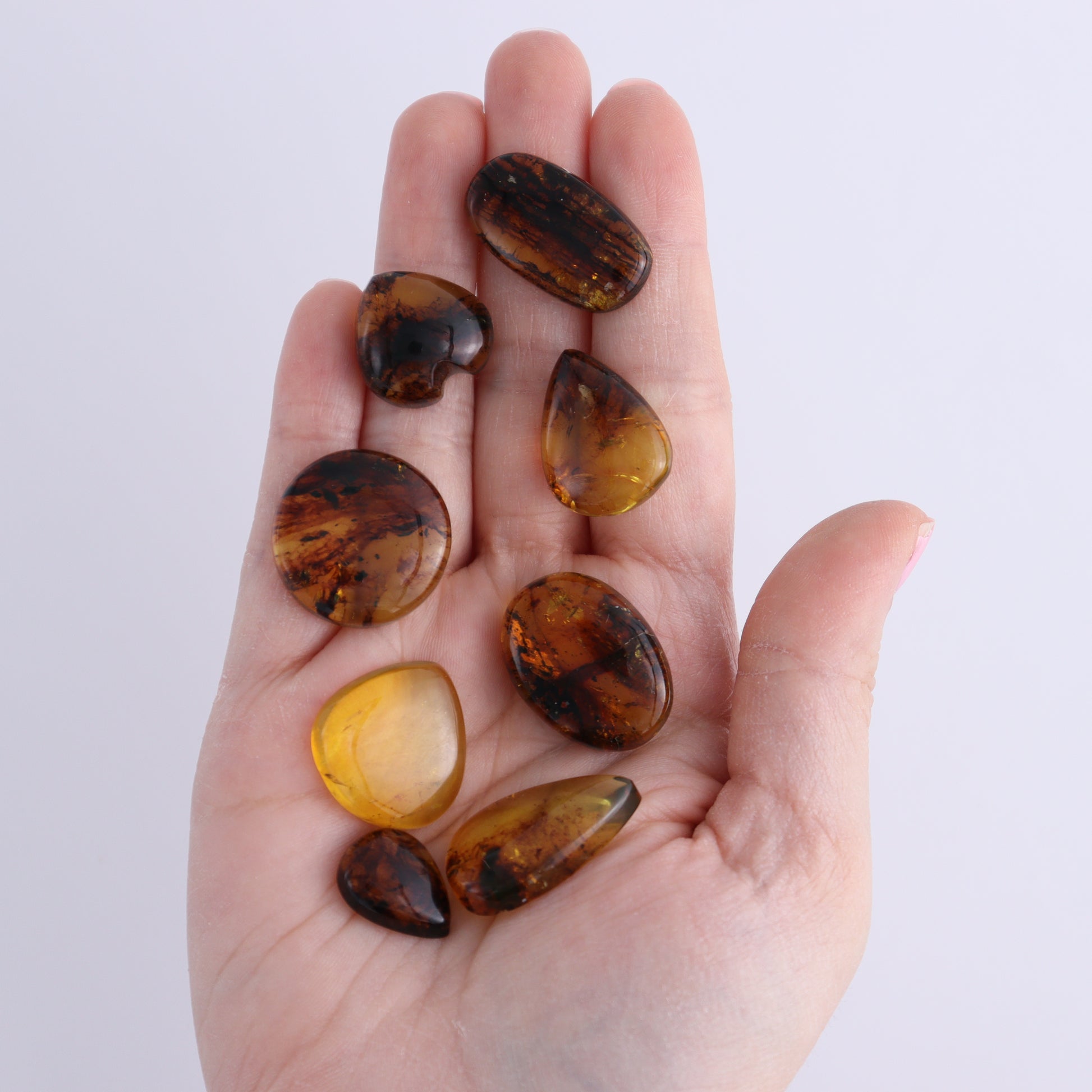 Chiapas Mexico Amber Cabs Set of 8 - Expert Wholesale and Supplier of Wholesale Crystals & Bulk Gemstones, ["Amber","Cabs","Chiapas Amber","Mexico"]