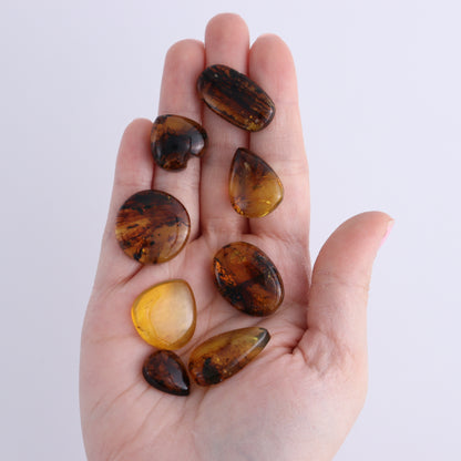 Chiapas Mexico Amber Cabs Set of 8 - Expert Wholesale and Supplier of Wholesale Crystals & Bulk Gemstones, ["Amber","Cabs","Chiapas Amber","Mexico"]
