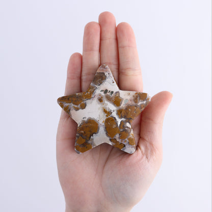 Brecciated Jasper Moons, Stars, Towers, Clouds, and Flames Set of 11