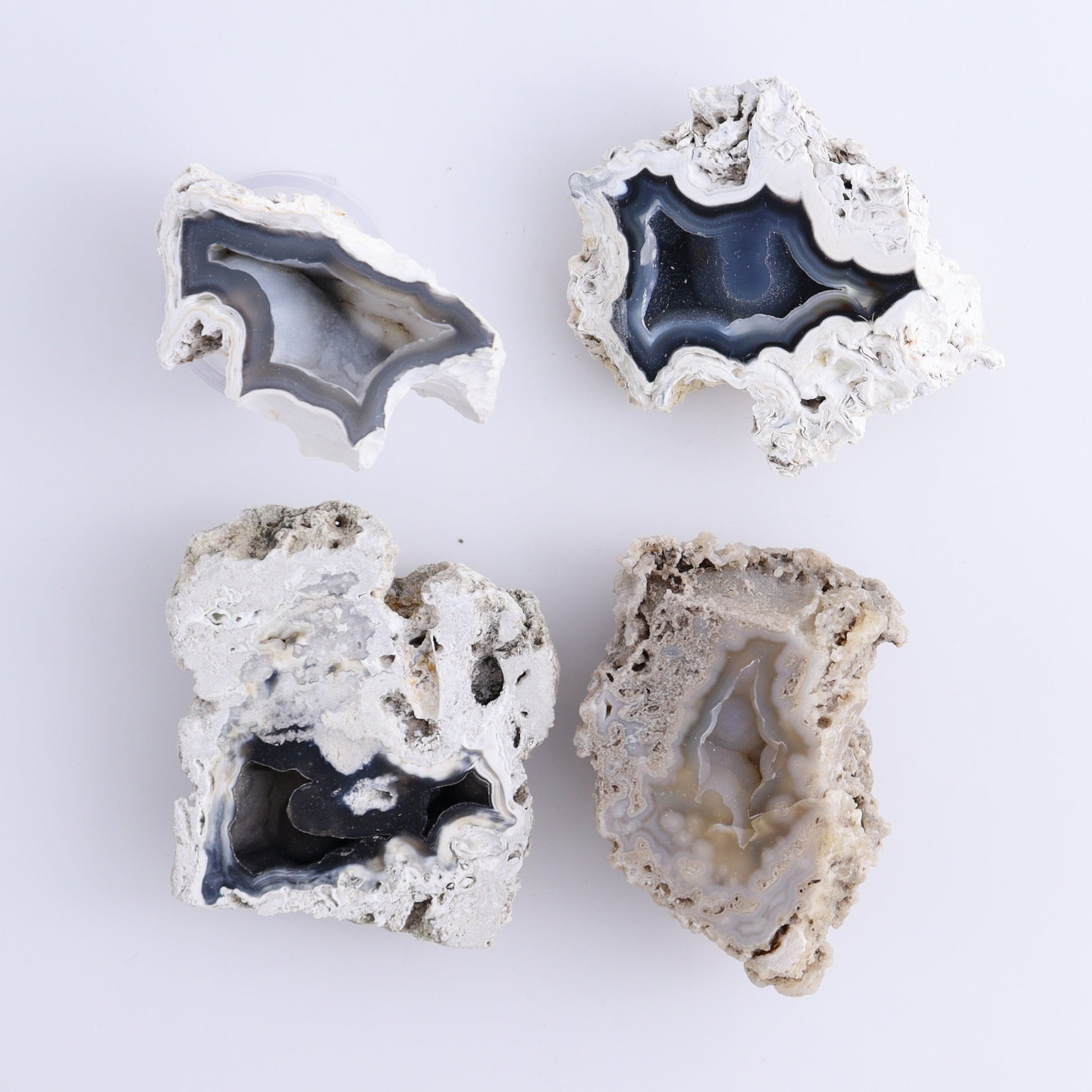 Agatized Coral Flat - Expert Wholesale and Supplier of Wholesale Crystals & Bulk Gemstones, ["Agate","Agatized Coral","Coral","United States"]