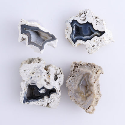 Agatized Coral Flat - Expert Wholesale and Supplier of Wholesale Crystals & Bulk Gemstones, ["Agate","Agatized Coral","Coral","United States"]