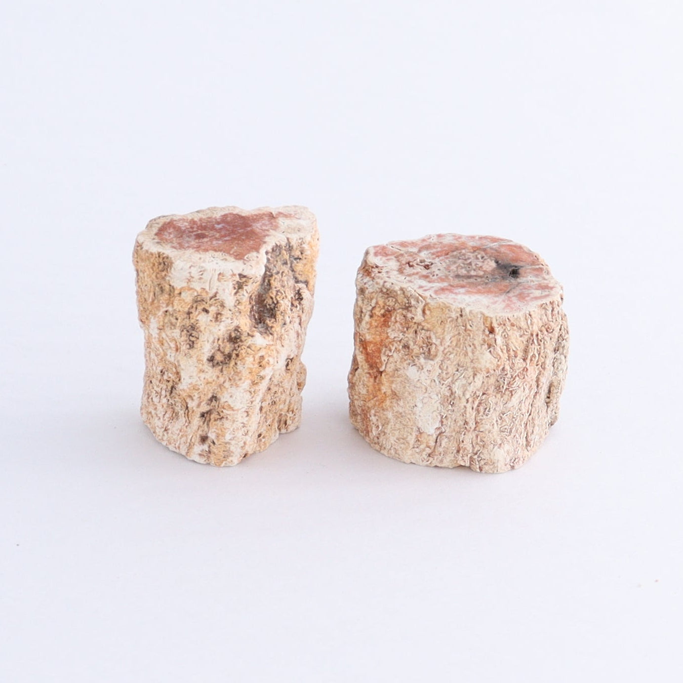 Petrified Wood Cut Bases Set of 10 - Expert Wholesale and Supplier of Wholesale Crystals & Bulk Gemstones, ["Cut Base","Petrified Wood"]